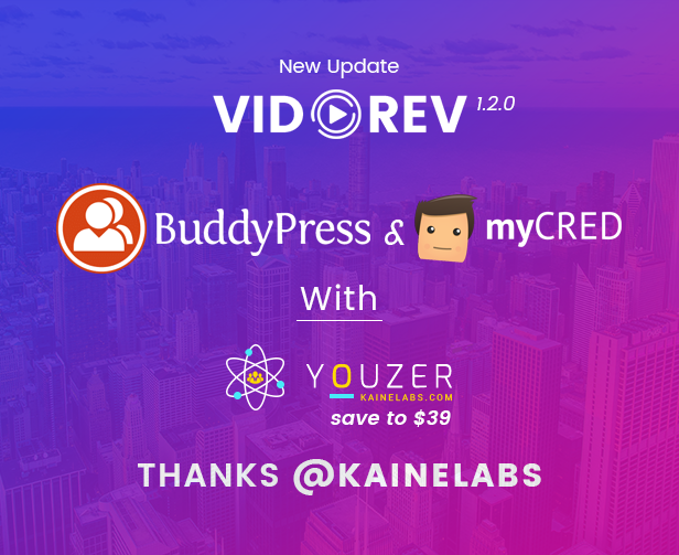 VidoRev - Video WordPress Theme - 11
