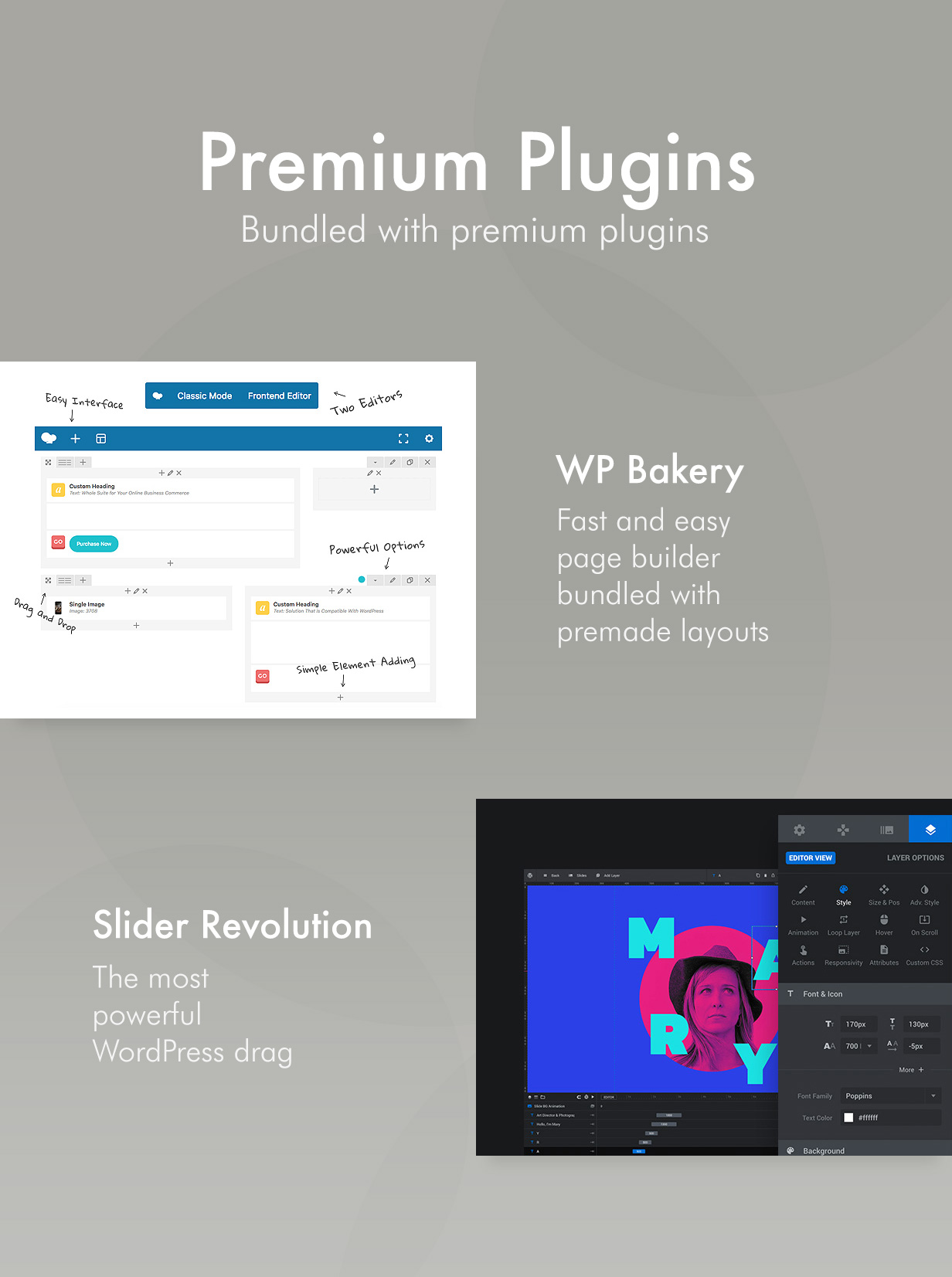 Premium Plugins