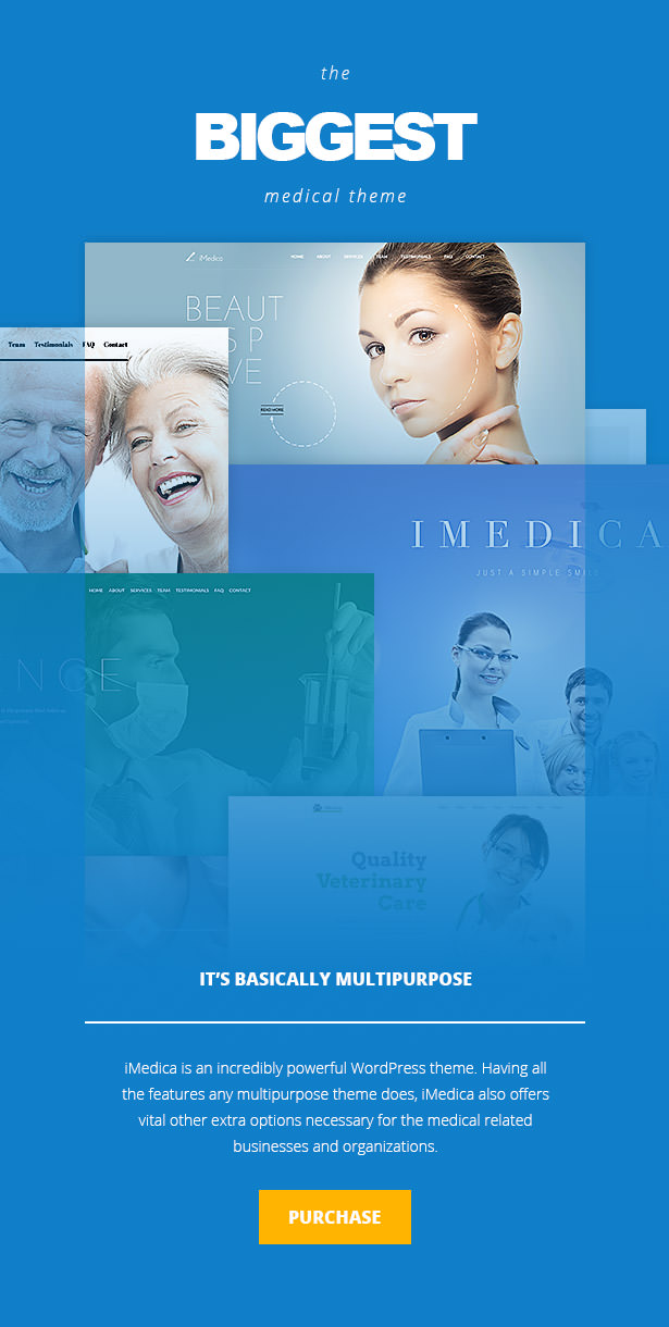 iMedica - Responsive Medical & Health WP Theme - 11