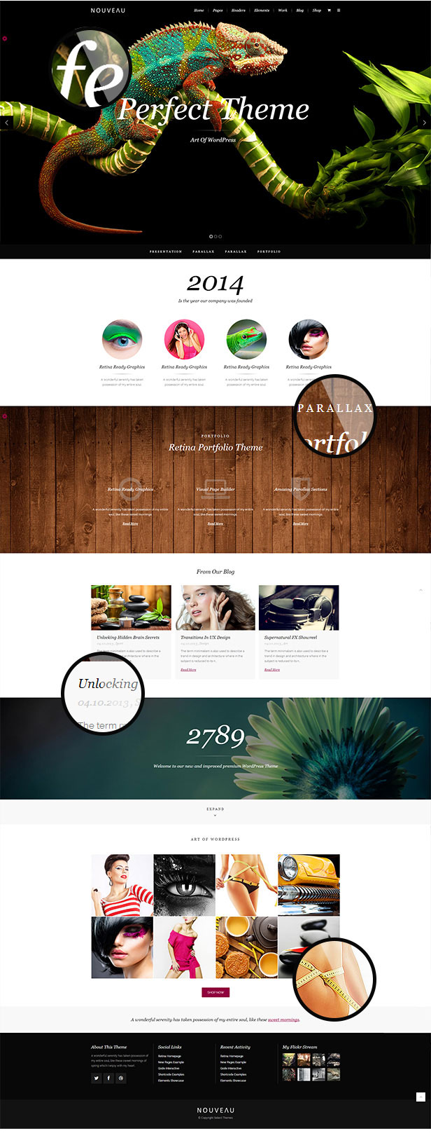 Nouveau - Multipurpose WordPress Theme - 3