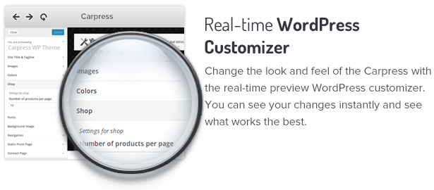 WordPress Customizer