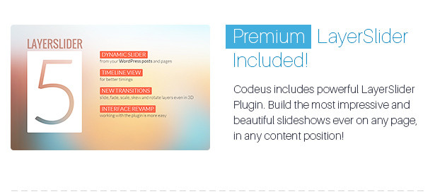 Codeus — Multi-Purpose Responsive WordPress Theme - 31