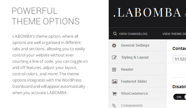 Labomba - Responsive Multipurpose WordPress Theme - 7