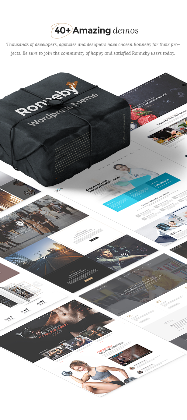 Ronneby - High-Performance WordPress Theme - 3