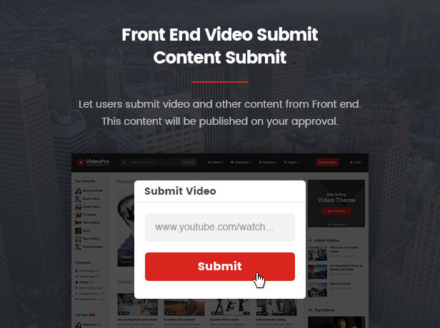 VideoPro - Video WordPress Theme - 13