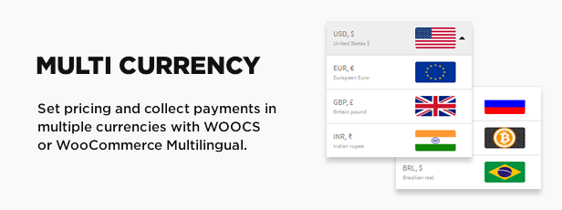 Multi currency support with WooCommerce Multilingual and Woocs