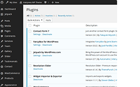 Popular WordPress Plugins Supported