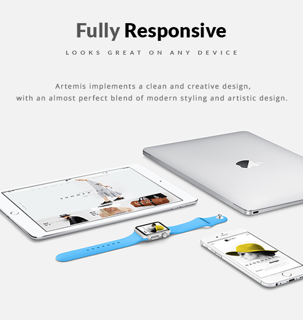 Artemis WooCommerce WordPress Theme Responsive