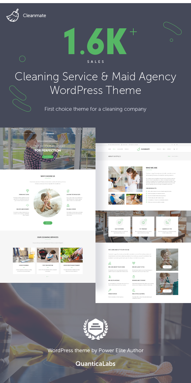 cleaning company, cleaning service, house cleaning, gardening, maintenance WordPress Theme