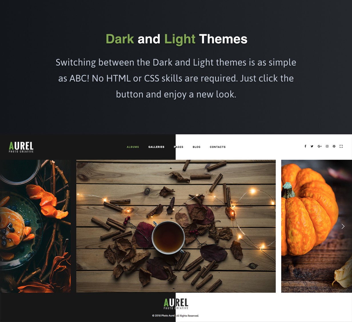 Dark and Light Themes