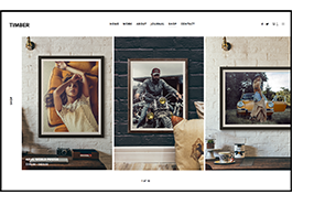 TIMBER – An Unusual Photography WordPress Theme - 5