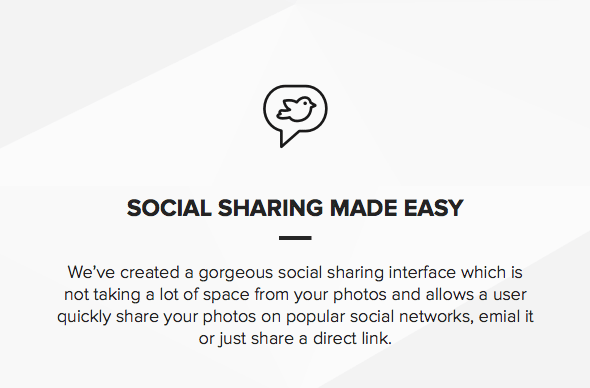 Theme for photographers with social sharing