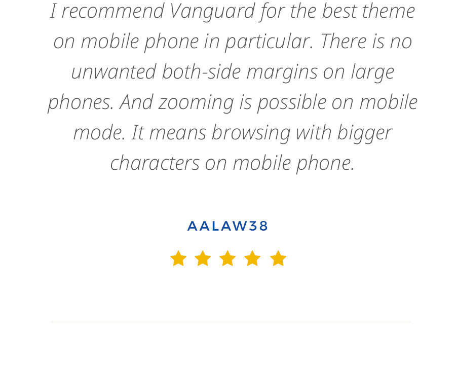 Vanguard: Business & Portfolio WordPress Theme - 20