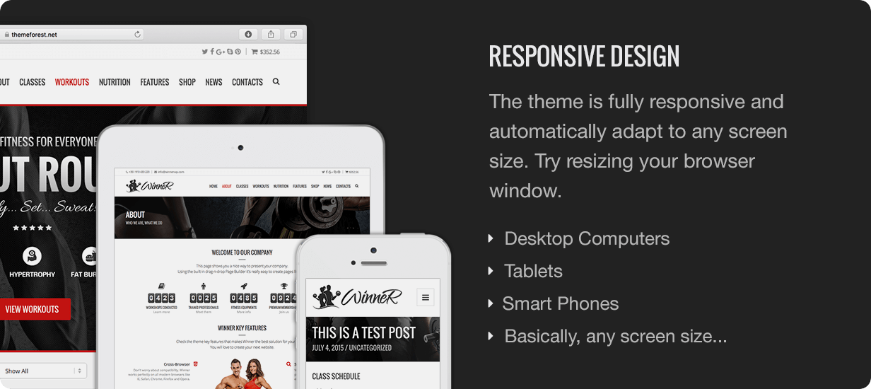 Winner Responsive Design