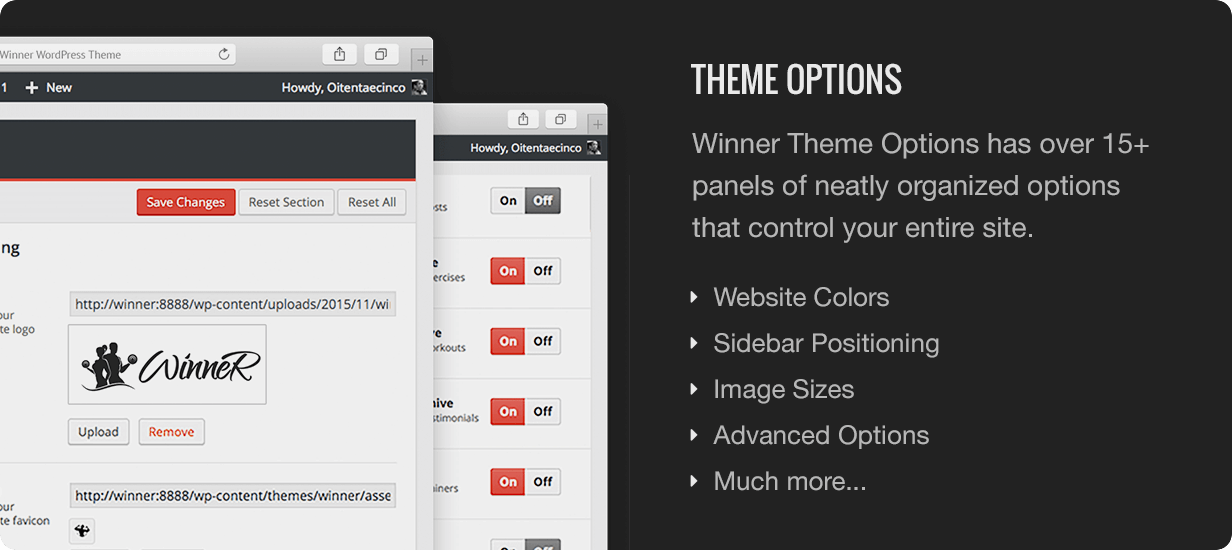 Winner Theme Options