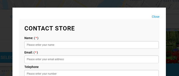 Contact Form for Individual Store in Super Store Finder