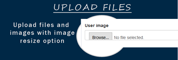 PDOCrud upload files