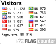 Flag Counter
